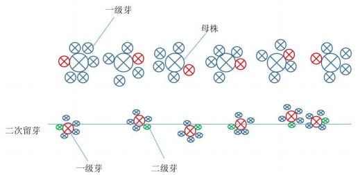 图示, 散点图

描述已自动生成