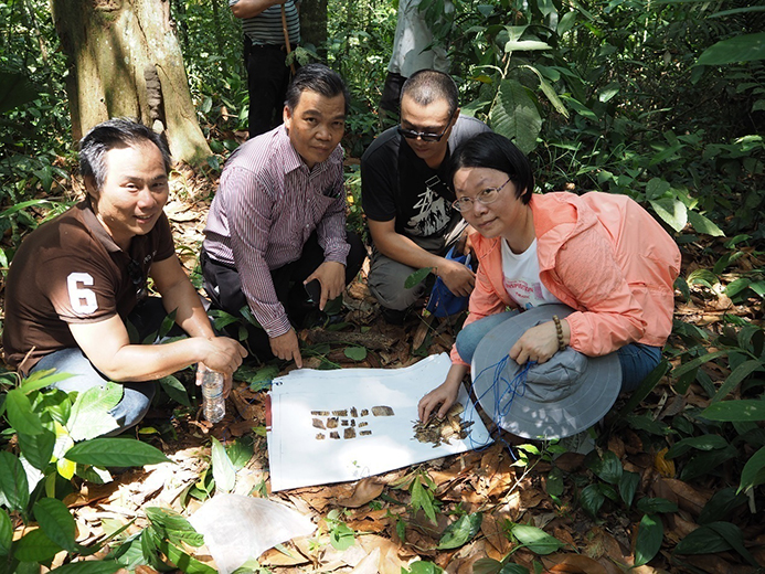 1野生沉香树结香样品收集.jpg