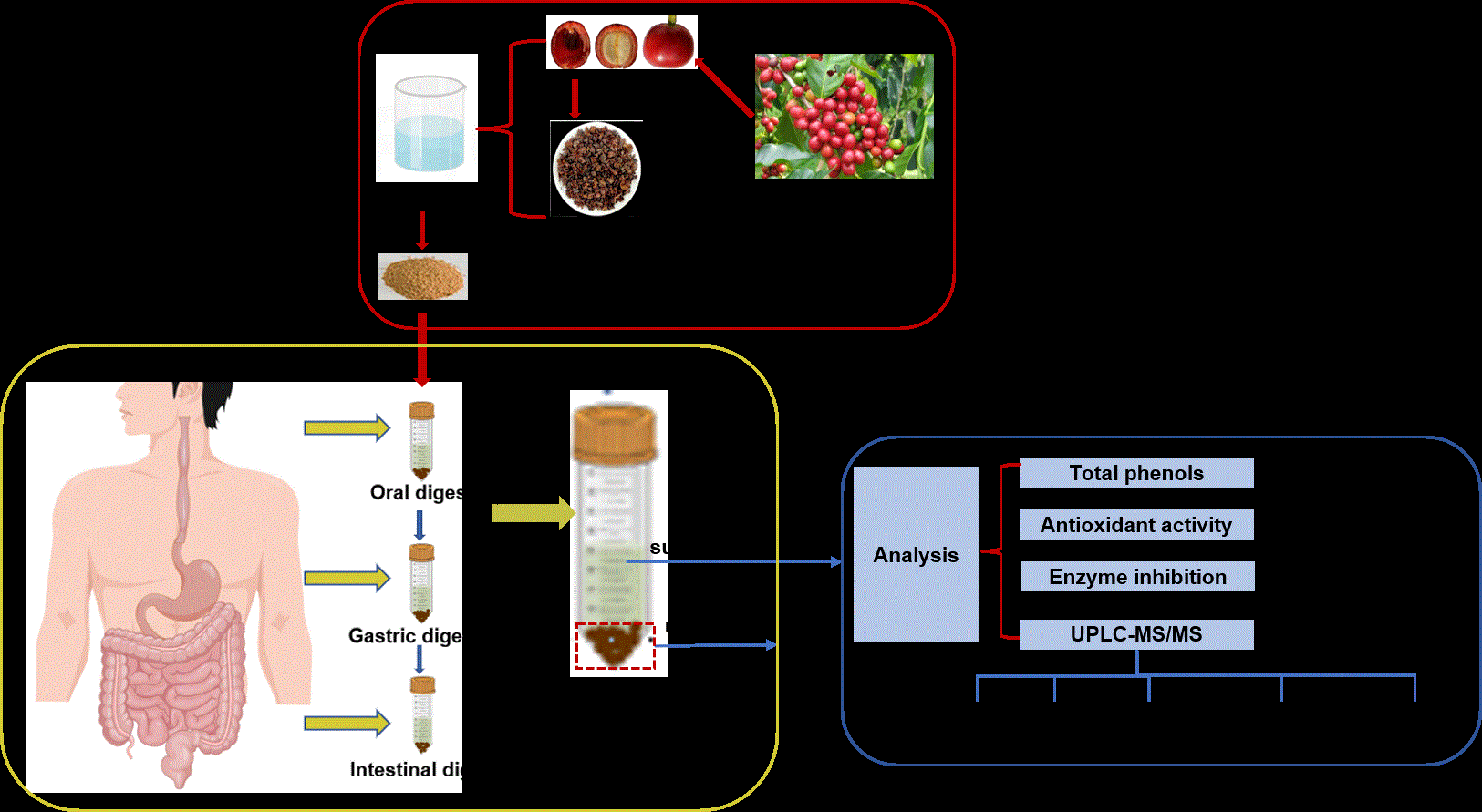 Fig.1(图形摘要)